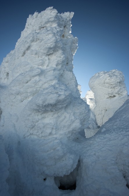 Near Mt. Pierce Summit