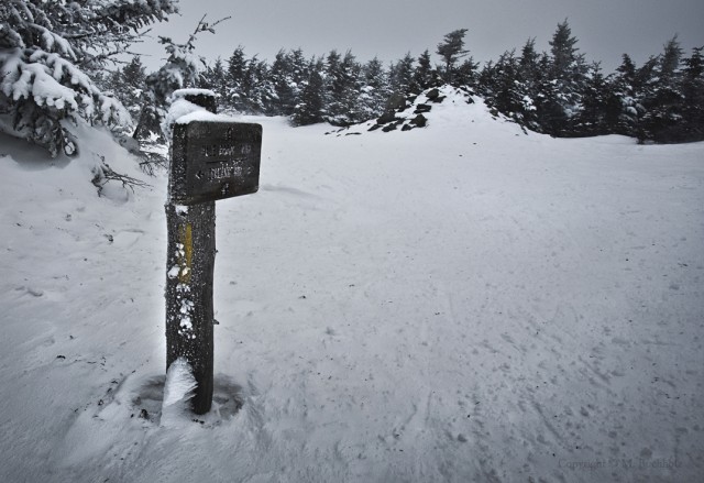 Summit; Mt. Hale