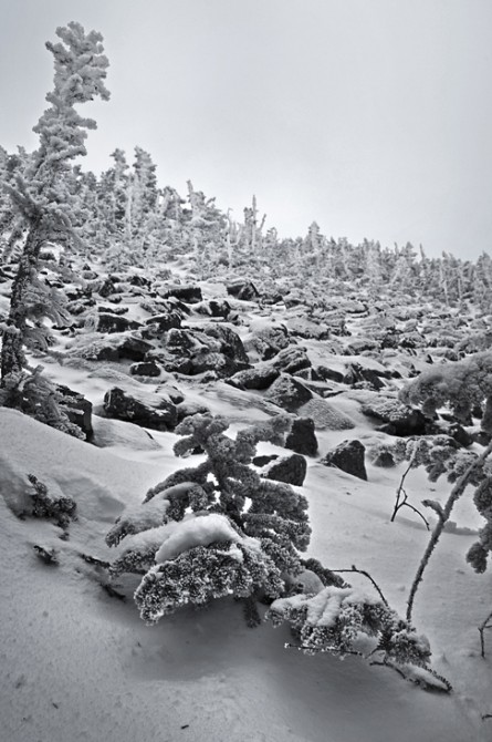 Snow Covered Rocks on the Trail up Mt. Moosilauke