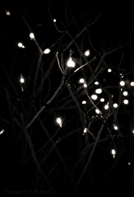 Christmas Lights; Newburyport, MA