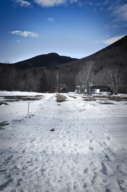 Dicey Mills Trail Field 