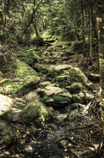 Hiking Trail