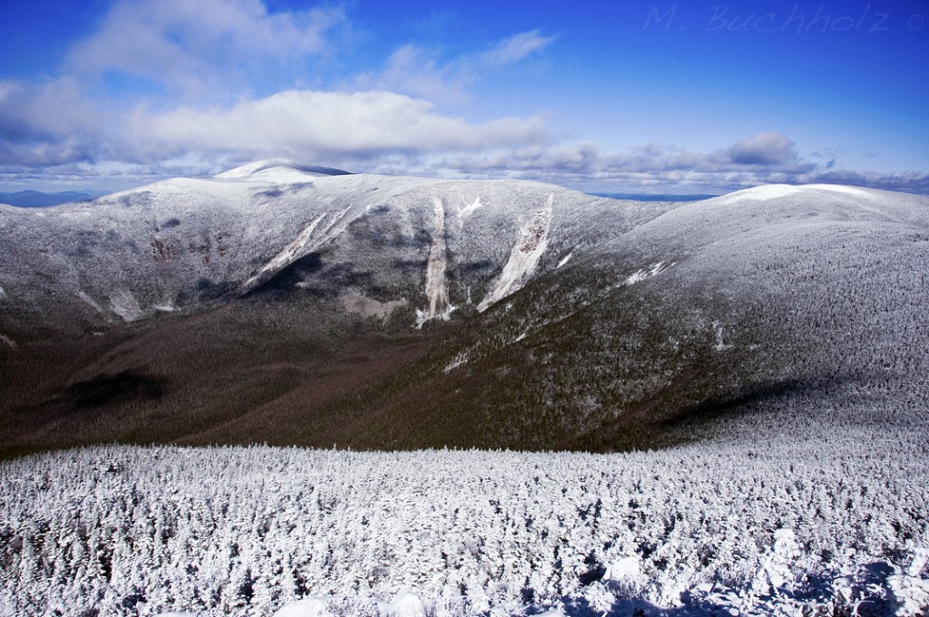 View from West Bond