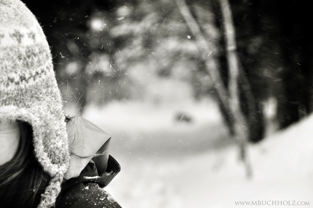 A Cold Shoulder; New England Blizzard