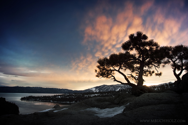 Pine Tree Silhouette; Sunrise, Emerald Bay, Lake Tahoe, California