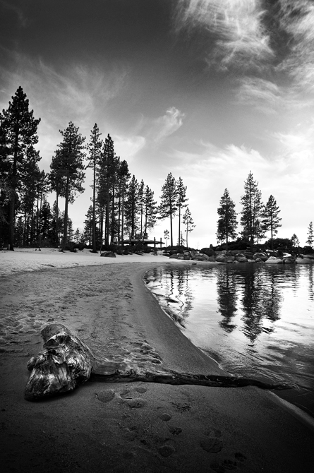 Driftwood; Lake Tahoe's Sand Harbor, Nevada