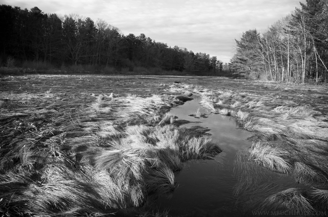 Wetlands; Kittery Point, Maine