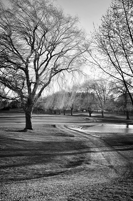 Cart Path; Rye, NH