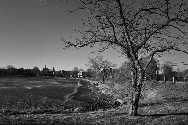 Shorelines; North Mill Pond, Portsmouth, New Hampshire