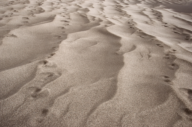 Currents; Desert Sand