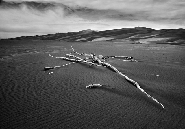 Afterlife; Great Sand Dunes National Park, Mosca, CO