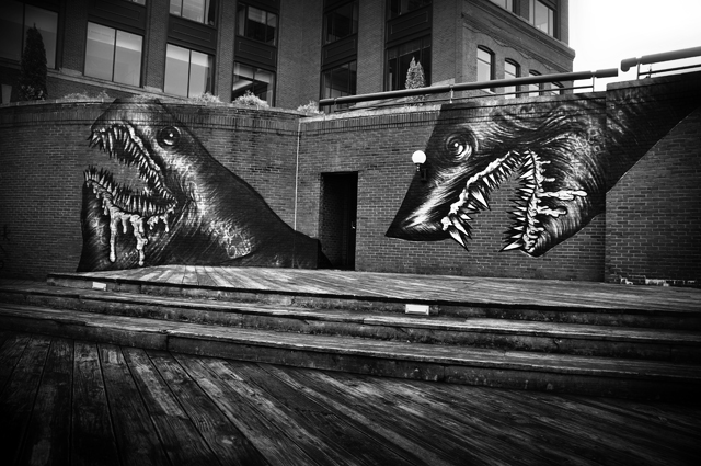 Street Art by Shark Toof; Portsmouth, NH