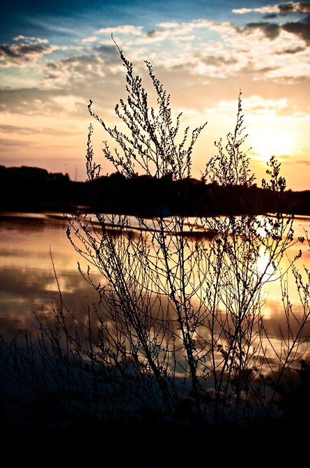 Harbor Sunset; Odiorne State Park, Rye, NH