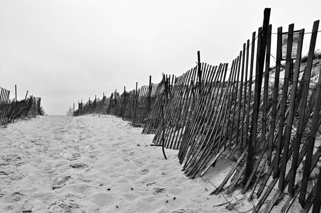 Sand Walkway; Plum Island, Massachusetts