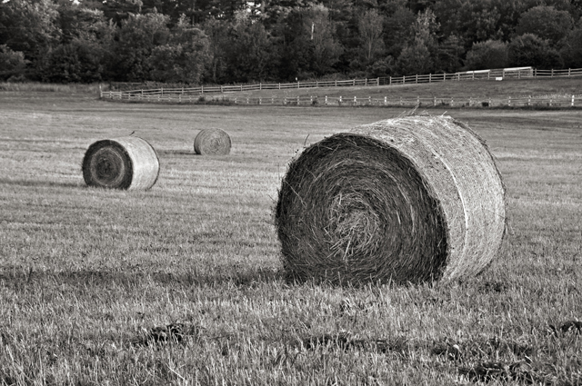 Hay Bale; Farm, Dover, NH