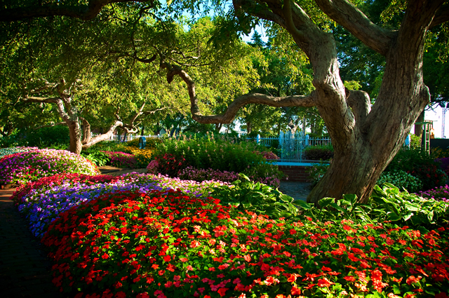 Flower Garden; Prescott Park, Portsmouth, NH