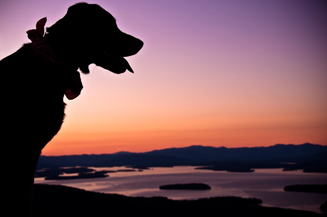 A Lab's First Winnipesaukee Sunset; Mt. Major, Alton, NH