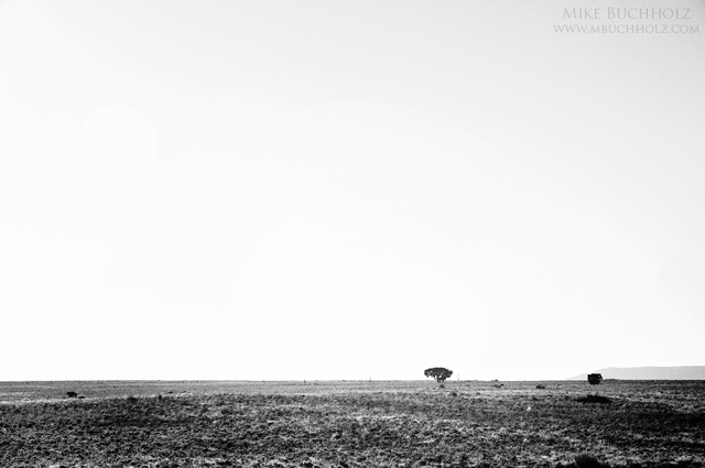 Lone Tree, Utah