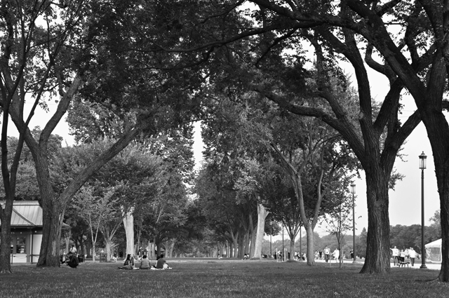 Picnic, National Mall, Washington, D.C.