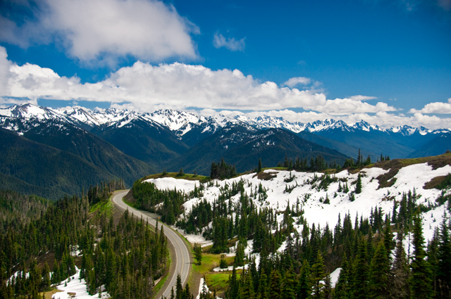 Windy Road, Hurricane Ridge; Olympic National Park, Washington