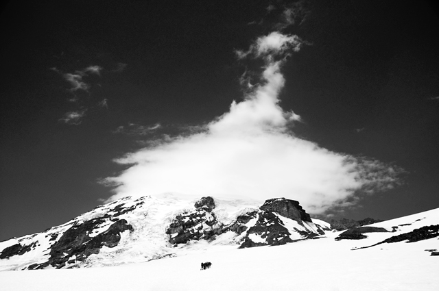 Muir Snowfield Approach; Mt. Rainier, Washington