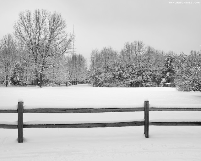 Snow Covered, Urban Forestry Center; Portsmouth, NH