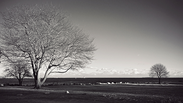 Great Island Commons; New Castle, NH