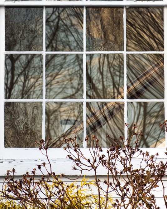 Panels, Window Reflections