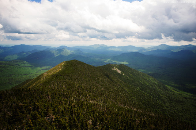 Signal Ridge Trail; Mount Carrigain, NH