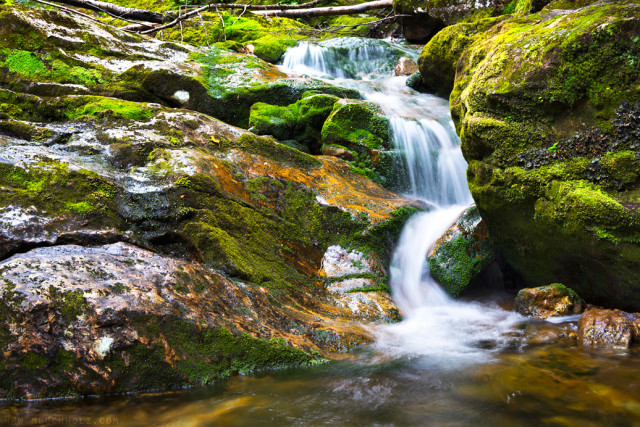 Cascades, Nineteen Mile Brook Trail, NH