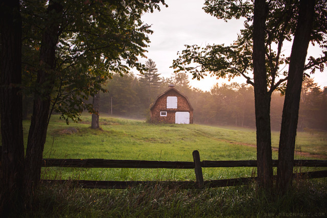 Barn, Fog; Ossipee, NH