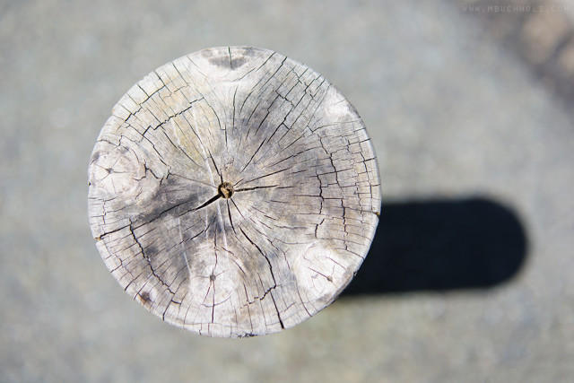 Stoicism; Wooden Post, Te Anau, New Zealand