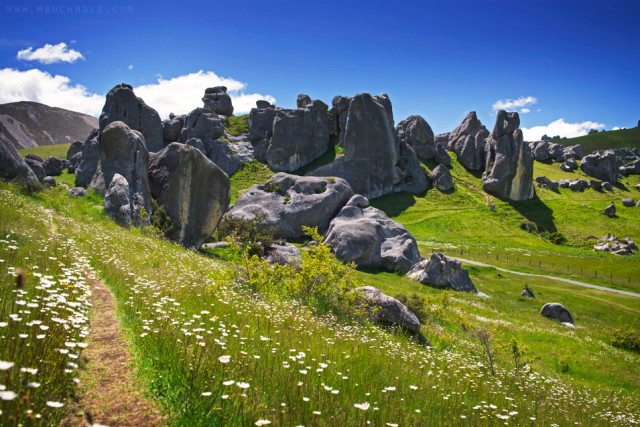 Flower Path; Castle Hill, New Zealand