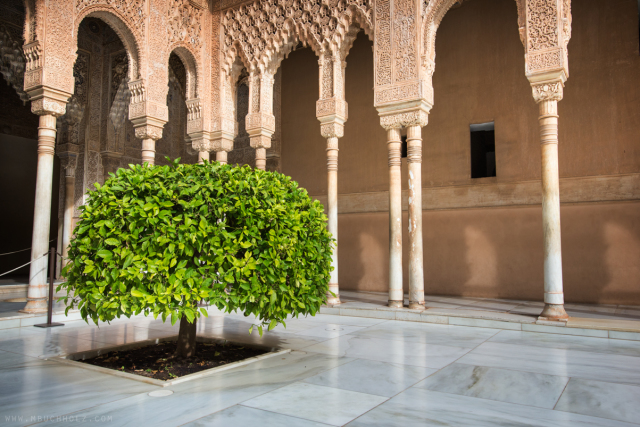 Court of the Lions in Nasrid Palace, Alhambra; Granada, Spain