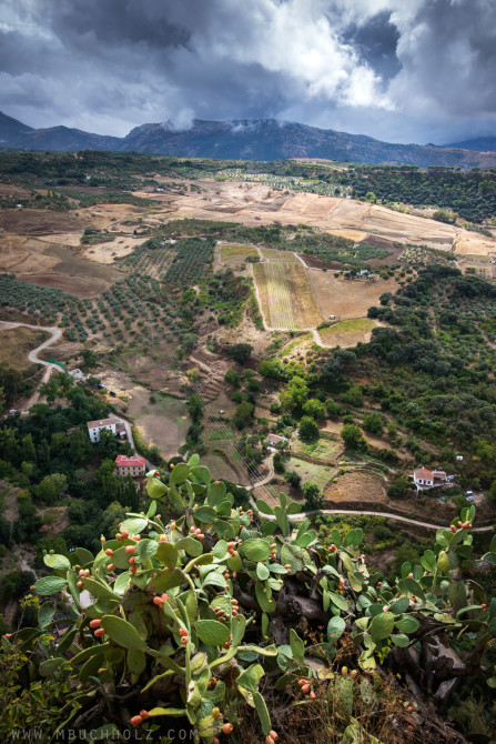 Countryside; Ronda, Spain