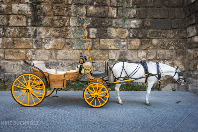 Coffee Break; Horse-Drawn Carriage, Sevilla, Spain