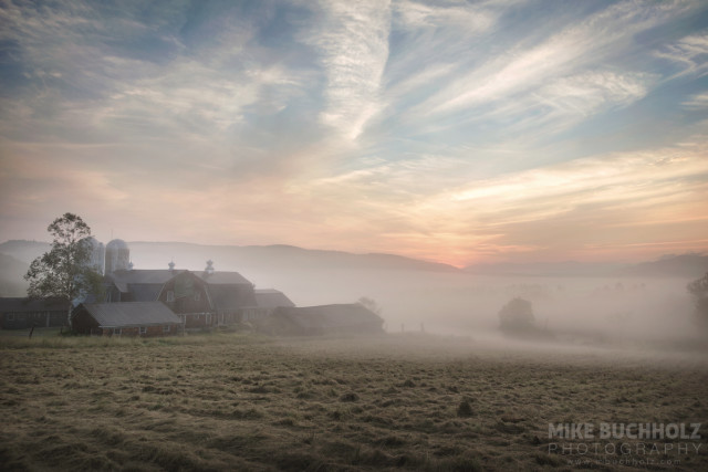 Iris Farm in Morning Fog; Sugar Hill, NH