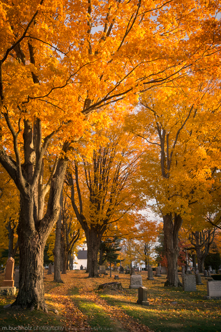 Autumn in Mountain View Cemetery; Shrewsbury, MA