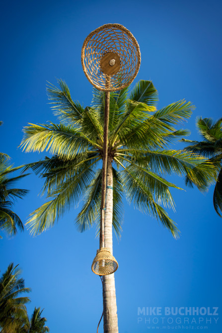 Palm Tree Lamp Posts; Palawan, Philippines