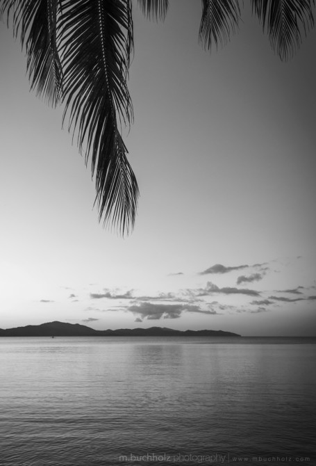 In the Shade of a Palm; Palawan, Philippines