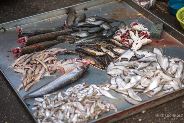 Curbside Fish Market; Yangon, Myanmar