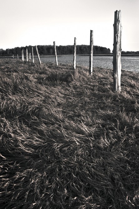 Wetlands Fence; Rye, NH