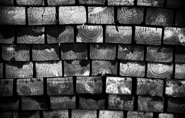 Growth Rings; Lumber Stack