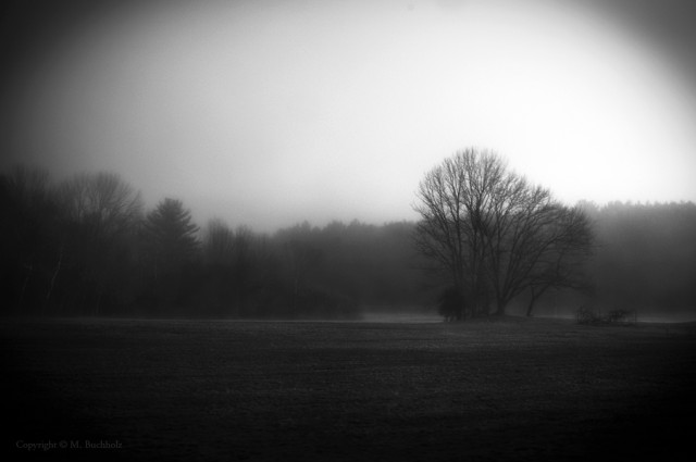 Early morning fog on NH field