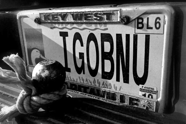 IGOBNU License Plate