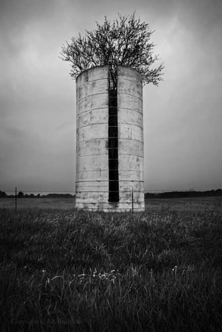 Feed Silo; Missouri