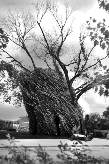 Tree Fort; Kansas University, Lawrence, KS