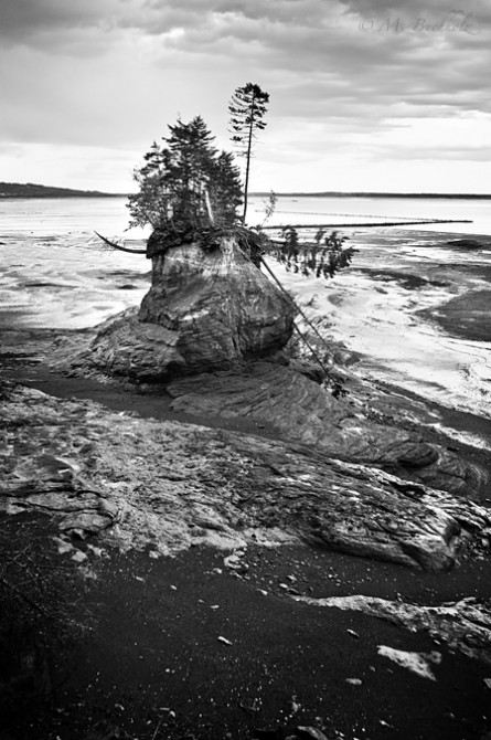 Bay of Fundy between New Brunswick and Nova Scotia