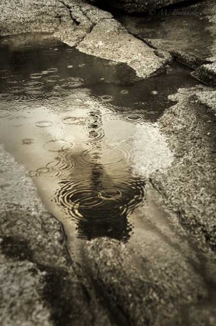 Peggy's Cove Lighthouse Reflection; Nova Scotia