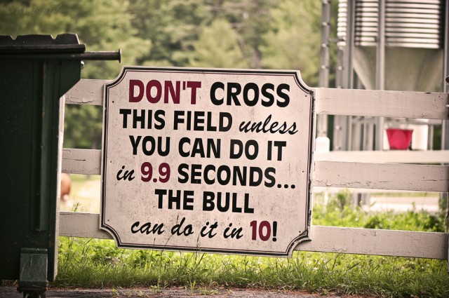 Don't Cross Unless